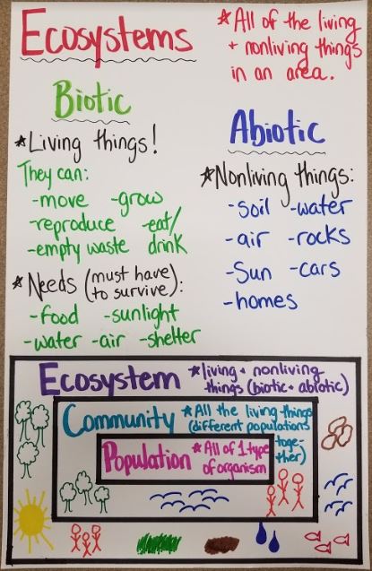What Do Scientists Do Anchor Chart